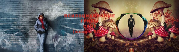 не бодяженный Бронницы