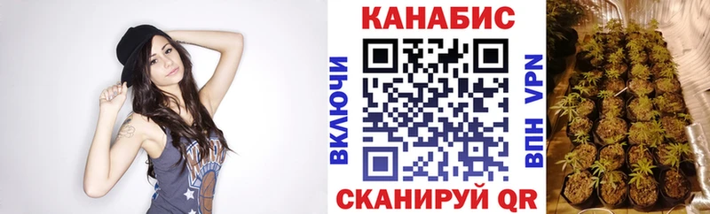 Конопля семена  omg ссылки  Якутск 